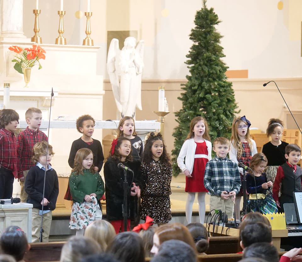 The-Catholic-Schools-image